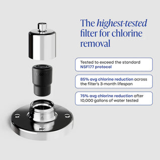 Miasaki Replacement Filter