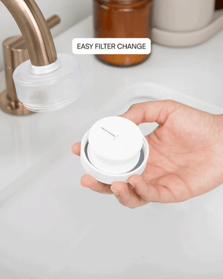 Miasaki Faucet Water Filter