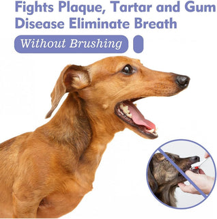 Miasaki Pet Oral Care Spray