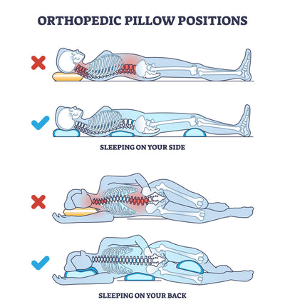 Proper Spine Alignment